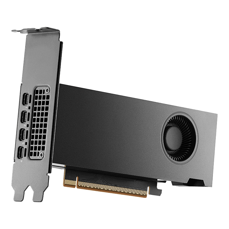 PNY NVIDIA RTX PRO 2000 Blackwell Graphic Card - 16 GB GDDR7 ECC - PCIe 5.0 x8