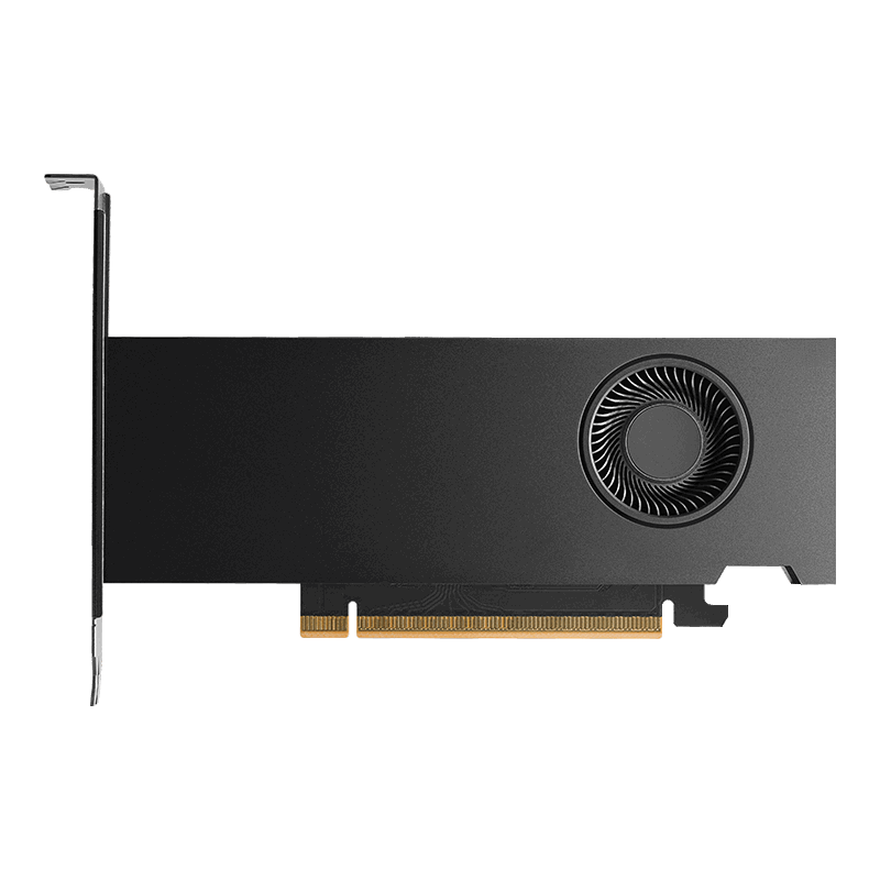 PNY NVIDIA RTX PRO 2000 Blackwell Graphic Card - 16 GB GDDR7 ECC - PCIe 5.0 x8