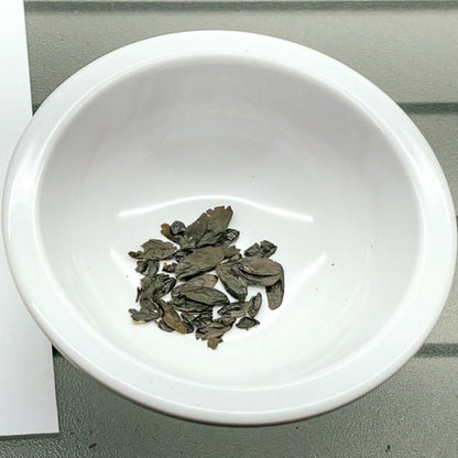 Yellow Mouse Ears Hosta Seeds (Hosta Mouse Ears) - The Lush Leaf